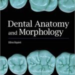 خرید و دانلود نسخه کامل کتاب Dental Anatomy and Morphology