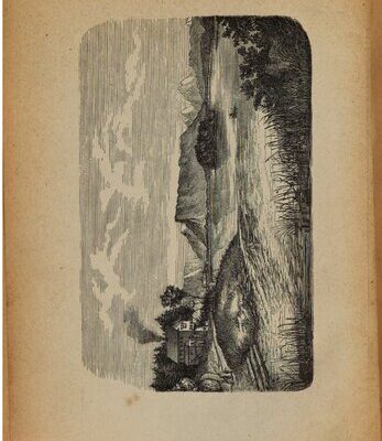 خرید و دانلود نسخه کامل کتاب Der Abtsdorfer See und seine Umgebung. Mit einem Anhange: Der Haunsberg