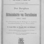 خرید و دانلود نسخه کامل کتاب Der Bergbau und die Hüttenindustrie von Oberschlesien 1884-1897 : Eine Untersuchung über die Wirkung der staatlichen Eisenbahntarifpolitik und des Wasserverkehrs