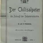 خرید و دانلود نسخه کامل کتاب Der Chilisalpeter und die Zukunft der Salpeterindustrie
