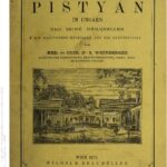 خرید و دانلود نسخه کامل کتاب Der Curort [Kurort] Pistyán in Ungarn und seine Heilquellen  mit besonderer Rücksicht auf die Electricität [Elektrizität]