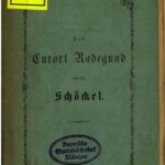 خرید و دانلود نسخه کامل کتاب Der Curort [Kurort] Radegund am Schöckel