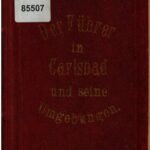خرید و دانلود نسخه کامل کتاب Der Führer in Karlsbad und seine Umgebungen. Für Kurgäste und Reisende