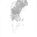 خرید و دانلود نسخه کامل کتاب Der Kongo. Reise von seiner Mündung bis Bolobo