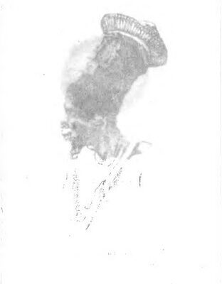 خرید و دانلود نسخه کامل کتاب Der Kongo. Reise von seiner Mündung bis Bolobo