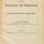 خرید و دانلود نسخه کامل کتاب Der Krinkberg bei Schenefeld und die holsteinischen Silberfunde