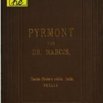 خرید و دانلود نسخه کامل کتاب Der Kurort Pyrmont