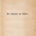 خرید و دانلود نسخه کامل کتاب Der Lutherhof von Gastein