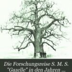 خرید و دانلود نسخه کامل کتاب Der Reisebericht
