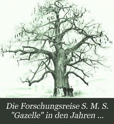 خرید و دانلود نسخه کامل کتاب Der Reisebericht