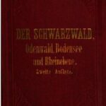 خرید و دانلود نسخه کامل کتاب Der Schwarzwald, der Odenwald, Bodensee und die Rheinebene : Handbuch für Reisende
