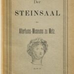 خرید و دانلود نسخه کامل کتاب Der Steinsaal des Altertums-Museums zu Metz