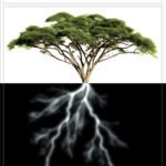 خرید و دانلود نسخه کامل کتاب Design in Nature: How the Constructal Law Governs Evolution in Biology, Physics, Technology, and Social Organization