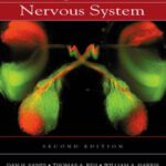 خرید و دانلود نسخه کامل کتاب Development of the Nervous System