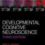 خرید و دانلود نسخه کامل کتاب Developmental Cognitive Neuroscience; 3rd Edition