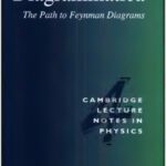 خرید و دانلود نسخه کامل کتاب Diagrammatica – the path to Feynman diagrams