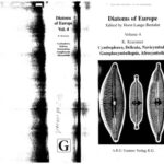 خرید و دانلود نسخه کامل کتاب Diatoms of Europe: Diatoms of the European Inland Waters and Comparable Habitats. Vol. 4: Cymbopleura, Delicata, Navicymbula, Gomphocymbellopsis, Afrocymbella