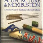 خرید و دانلود نسخه کامل کتاب Dictionary of Acupuncture and Moxibustion, A Practical Guide to Traditional Chinese Medicine