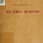 خرید و دانلود نسخه کامل کتاب Die Ausgrabungen im Bel-Tempel zu Nippur