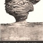 خرید و دانلود نسخه کامل کتاب Die Denudation in der Wüste und ihre geologische Bedeutung. Untersuchungen über die Bildung der Sedimente in den ägyptischen Wüsten