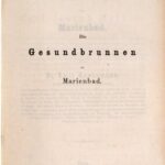 خرید و دانلود نسخه کامل کتاب Die Gesundbrunnen zu Marienbad