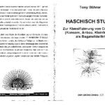 خرید و دانلود نسخه کامل کتاب Die Haschischstudie