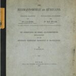 خرید و دانلود نسخه کامل کتاب Die Hermannshöhle bei Rübeland / Tafeln