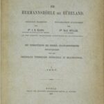 خرید و دانلود نسخه کامل کتاب Die Hermannshöhle bei Rübeland / Text