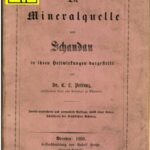 خرید و دانلود نسخه کامل کتاب Die Mineralquelle von Schandau in ihren Heilwirkungen dargestellt