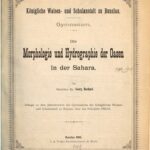 خرید و دانلود نسخه کامل کتاب Die Morphologie und Hydrographie der Oasen in der Sahara