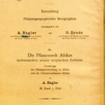 خرید و دانلود نسخه کامل کتاب Die Pflanzenwelt Afrikas insbesondere seiner tropischen Gebiete : Grundzüge der Pflanzenverbreitung in Afrika und die Charakterpflanzen Afrikas