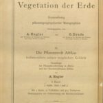 خرید و دانلود نسخه کامل کتاب Die Pflanzenwelt Afrikas, insbesondere seiner tropischen Gebiete : Grundzüge der Pflanzenverbreitung im Afrika und die Charakterpflanzen Afrikas