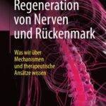 خرید و دانلود نسخه کامل کتاب Die Regeneration von Nerven und Rückenmark: Was wir über Mechanismen und therapeutische Ansätze wissen