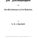 خرید و دانلود نسخه کامل کتاب Die Sternschnuppen und ihre Beziehungen zu den Kometen