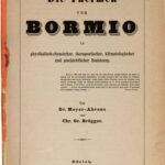 خرید و دانلود نسخه کامل کتاب Die Thermen von Bormio in physikalisch-chemischer, therapeutischer, klimatologischer und geschichtlicher Beziehung
