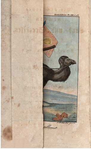 خرید و دانلود نسخه کامل کتاب Die wichtigsten neuern Land- und Seereisen_68c1122649c16.jpeg خرید و دانلود نسخه کامل کتاب Die wichtigsten neuern Land- und Seereisen