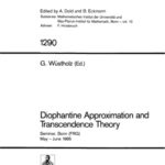 خرید و دانلود نسخه کامل کتاب Diophantine Approximation and Transcendence Theory: Seminar, Bonn (FRG) May – June 1985