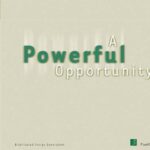 خرید و دانلود نسخه کامل کتاب Direct Fuel Cell Field Trials and Commercialization Progress