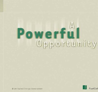 خرید و دانلود نسخه کامل کتاب Direct Fuel Cell Field Trials and Commercialization Progress