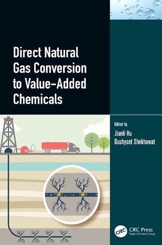 خرید و دانلود نسخه کامل کتاب Direct Natural Gas Conversion to Value-Added Chemicals_68d0428cddc15.jpeg خرید و دانلود نسخه کامل کتاب Direct Natural Gas Conversion to Value-Added Chemicals
