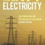خرید و دانلود نسخه کامل کتاب Dirty Electricity: Electrification and the Diseases of Civilization
