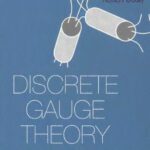 خرید و دانلود نسخه کامل کتاب Discrete gauge theory: from lattices to TQFT