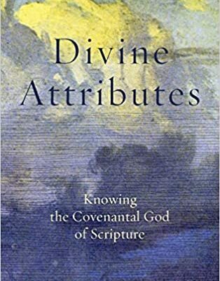 خرید و دانلود نسخه کامل کتاب Divine Attributes: Knowing the Covenantal God of Scripture [2021] –  +  pdf