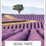 خرید و دانلود نسخه کامل کتاب DK Eyewitness Road Trips France