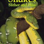 خرید و دانلود نسخه کامل کتاب DK Reader  Snakes Slither and Hiss (Pre-Level 1)