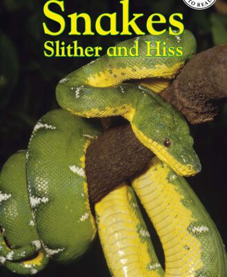 خرید و دانلود نسخه کامل کتاب DK Reader  Snakes Slither and Hiss (Pre-Level 1)