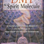 خرید و دانلود نسخه کامل کتاب DMT: the spirit molecule: a doctor’s revolutionary research into the biology of near-death and mystical experiences