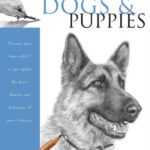 خرید و دانلود نسخه کامل کتاب Dogs and Puppies
