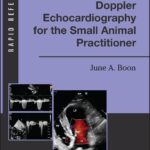 خرید و دانلود نسخه کامل کتاب Doppler Echocardiography for the Small Animal Practitioner