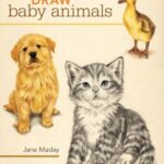 خرید و دانلود نسخه کامل کتاب Draw Baby Animals